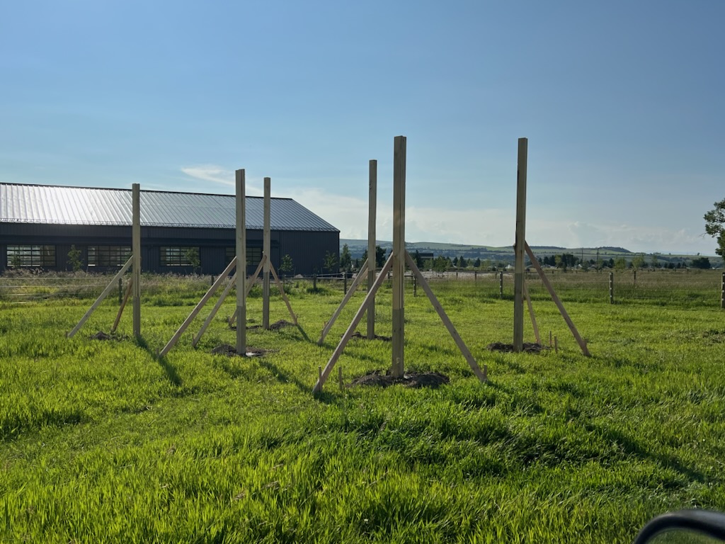 Syndicate Builders Equestrian Barns, stables, sheds